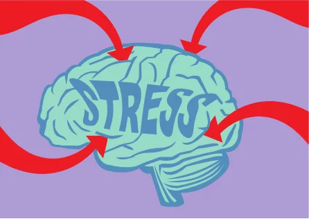 Beyin ve Stres